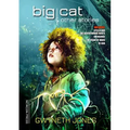 Big Cat: And Other Stories