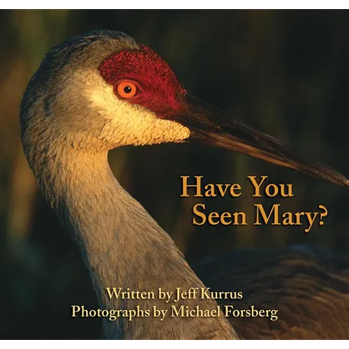 Have You Seen Mary?