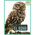 El Búho