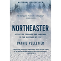 Northeaster: A Story of Courage and Survival in the Blizzard of 1952