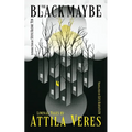 The Black Maybe: Liminal Tales