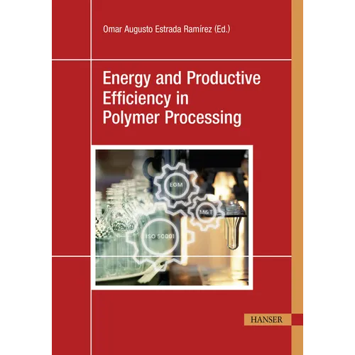 Energy and Productive Efficiency in Polymer Processing