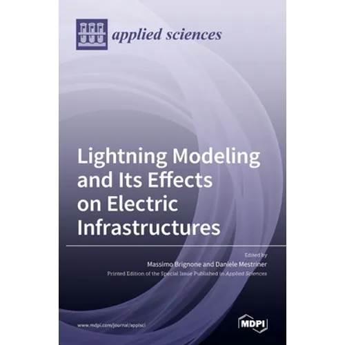 Lightning Modeling and Its Effects on Electric Infrastructures