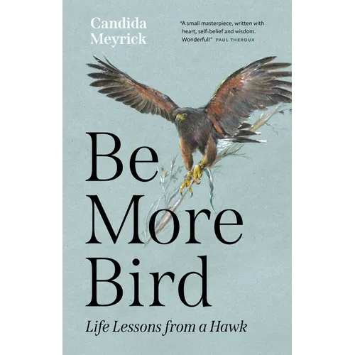 Be More Bird: Life Lessons from a Hawk