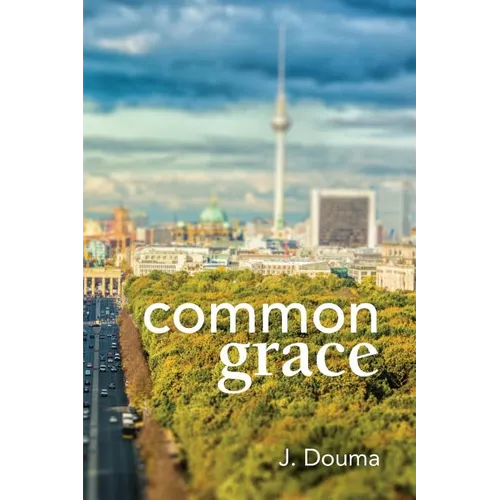 Common Grace in Kuyper, Schilder, and Calvin: Exposition, Comparison, and Evaluation