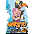 Naruto, Vol. 30: Puppet Masters