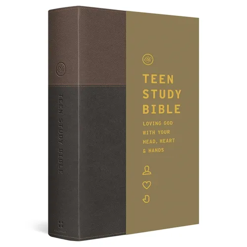 ESV Teen Study Bible (Trutone, Slate/Umber)