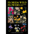 Florida Wild Flowers and Roadside Plants