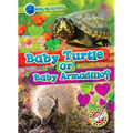 Baby Turtle or Baby Armadillo?