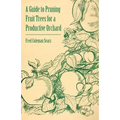 A Guide to Pruning Fruit Trees for a Productive Orchard