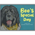 Boo's Special Day