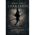 What The Dark Feeds: Three Sins, Three Reckonings