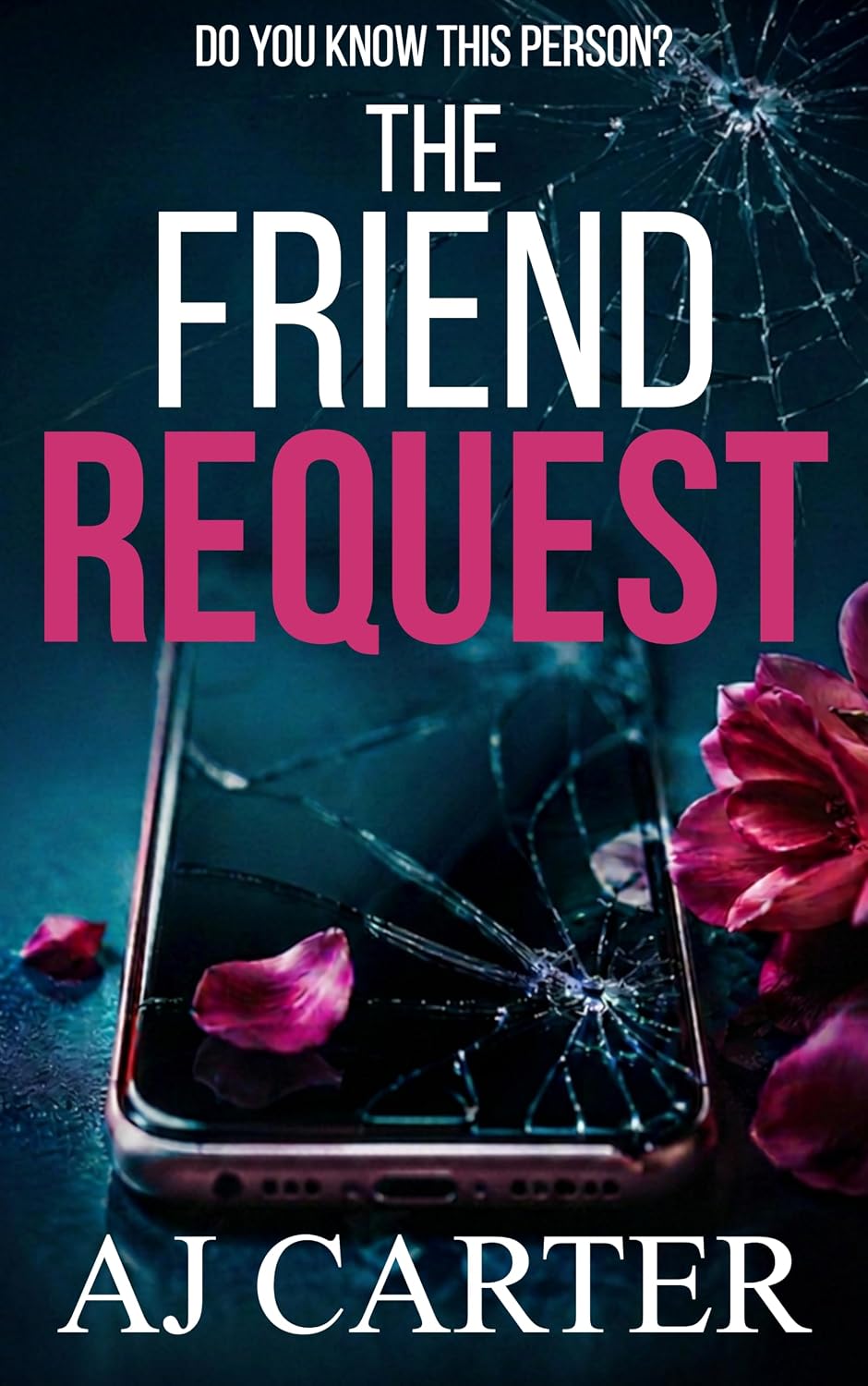 The Friend Request: A BRAND NEW addictive domestic thriller for 2026