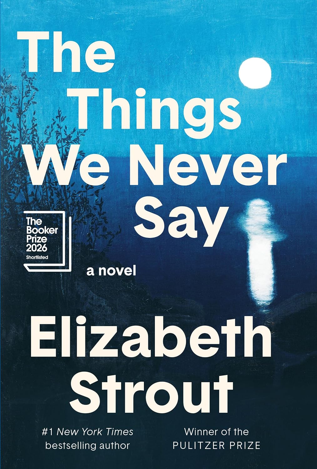 The Things We Never Say: A Novel