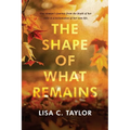 The Shape of What Remains