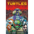 Teenage Mutant Ninja Turtles: NYC vs. Tmnt