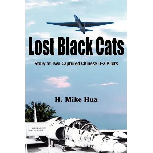Lost Black Cats