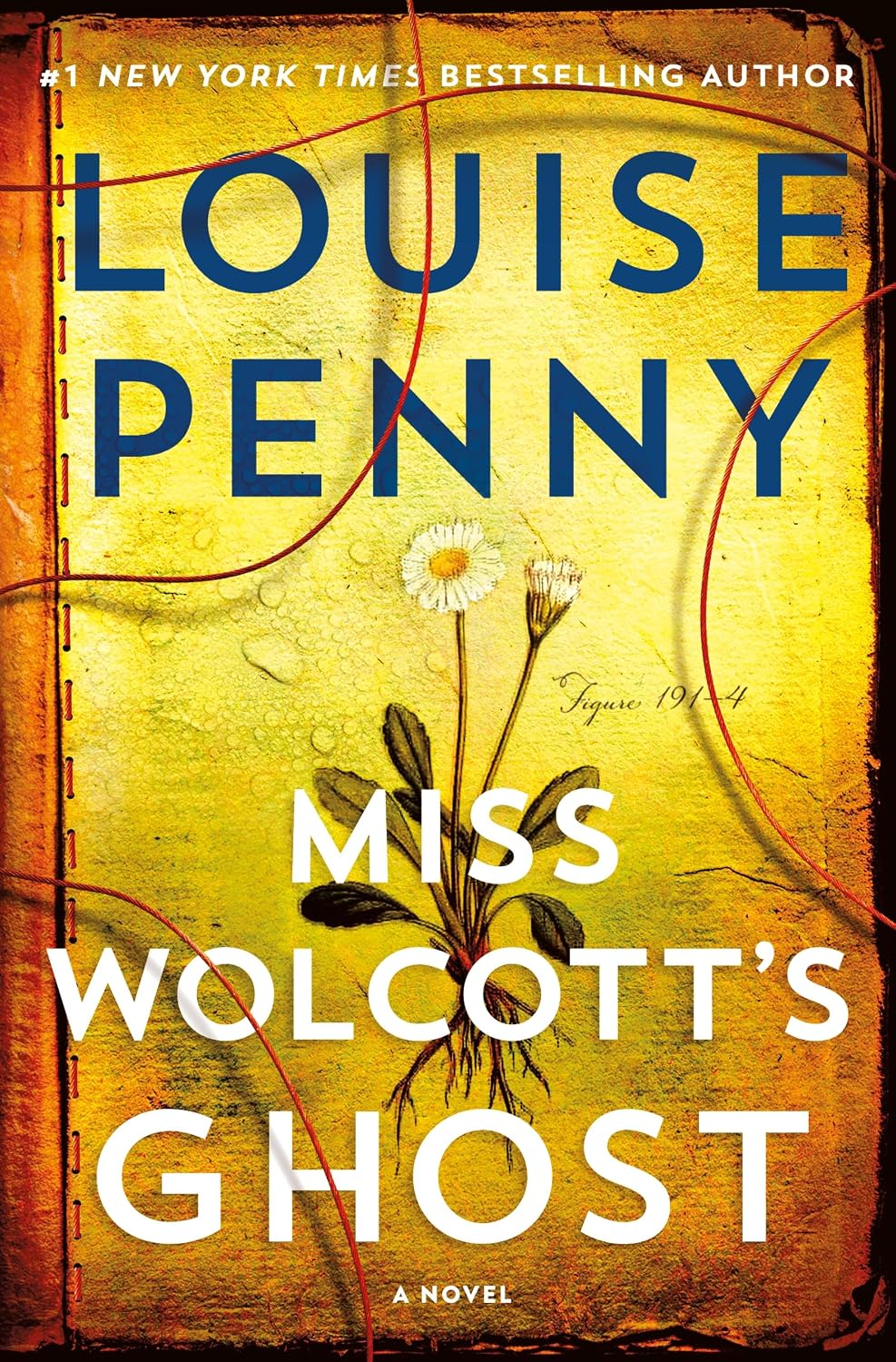 Miss Wolcott's Ghost: A Novel (Chief Inspector Gamache Novel Book 21)