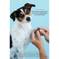 Dog reflexology and acupressure for owners