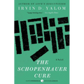 The Schopenhauer Cure