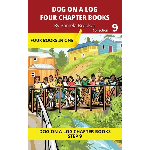 Four Chapter Books 9: Decodable Series for Students Learning to Read. For Developing Readers and Students with Dyslexia. (Step 9-Vowel Digraphs-ai, ay