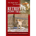 Retriever Puppy Training: The Right Start for Hunting
