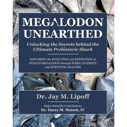 Megalodon Unearthed