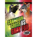 Canada Goose vs. Gray Fox