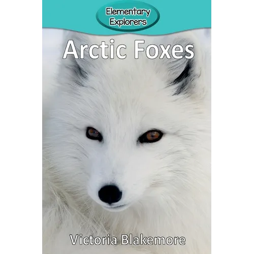 Arctic Foxes