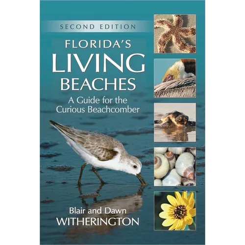 Florida's Living Beaches: A Guide for the Curious Beachcomber