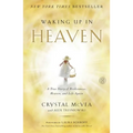 Waking Up in Heaven: A True Story of Brokenness, Heaven, and Life Again