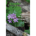 Biblical Hebrew Picture Dictionary
