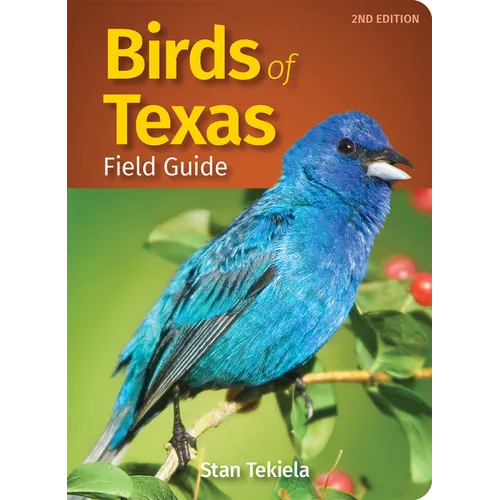 Birds of Texas Field Guide