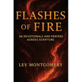Flashes of Fire: 66 Devotionals and Prayers Across Scripture