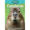 Capybaras