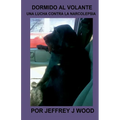 Dormido Al Volante: Una Lucha Contra La Narcolepsia