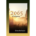 2065 in the Beginning