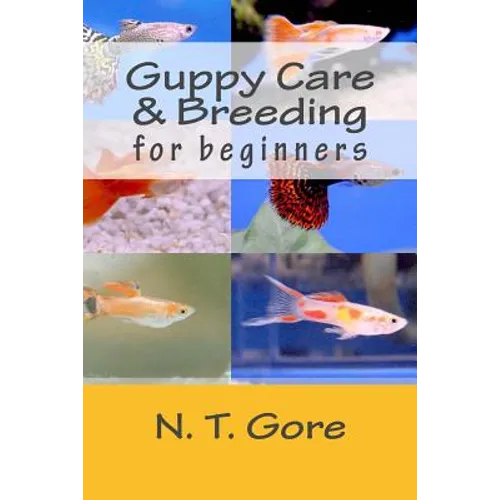 Guppy Care & Breeding for Beginners