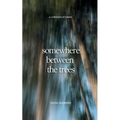 somewhere between the trees