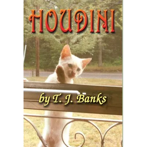 Houdini