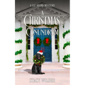A Christmas Conundrum