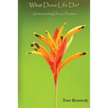 What Does Life Do?: Understanding Life as a Process