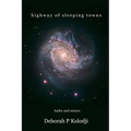 Highway of Sleeping Towns