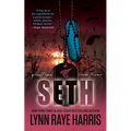 Seth: A Small Town, Enemies to Lovers, Protector Romance
