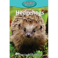 Hedgehogs