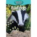 Badgers