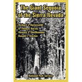 The Giant Sequoia of the Sierra Nevada