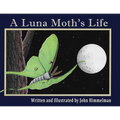 A Luna Moth's Life