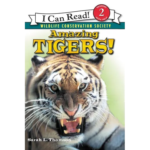Amazing Tigers!