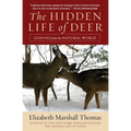 The Hidden Life of Deer